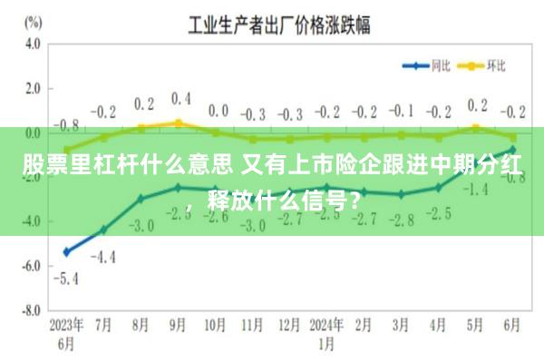 股票里杠杆什么意思 又有上市险企跟进中期分红，释放什么信号？