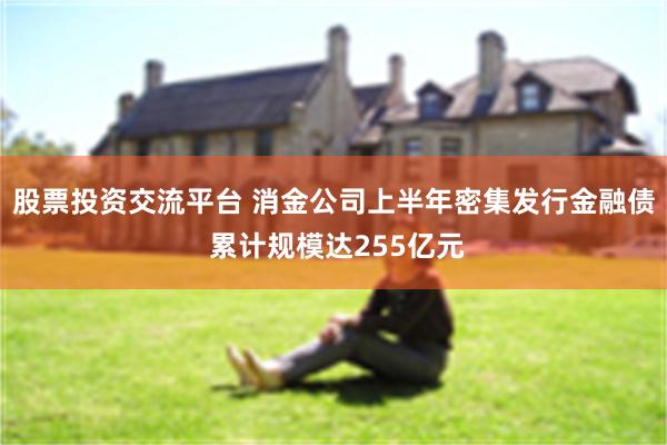 股票投资交流平台 消金公司上半年密集发行金融债 累计规模达255亿元