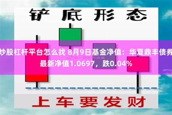 炒股杠杆平台怎么找 8月9日基金净值：华夏鼎丰债券最新净值1.0697，跌0.04%