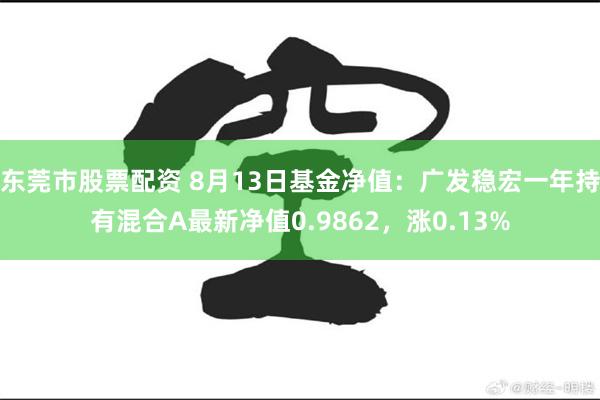 东莞市股票配资 8月13日基金净值：广发稳宏一年持有混合A最新净值0.9862，涨0.13%