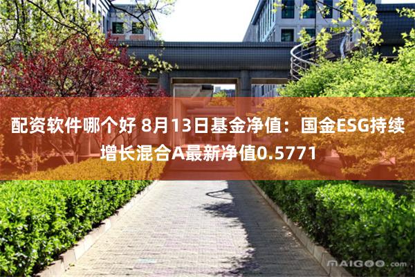 配资软件哪个好 8月13日基金净值：国金ESG持续增长混合A最新净值0.5771