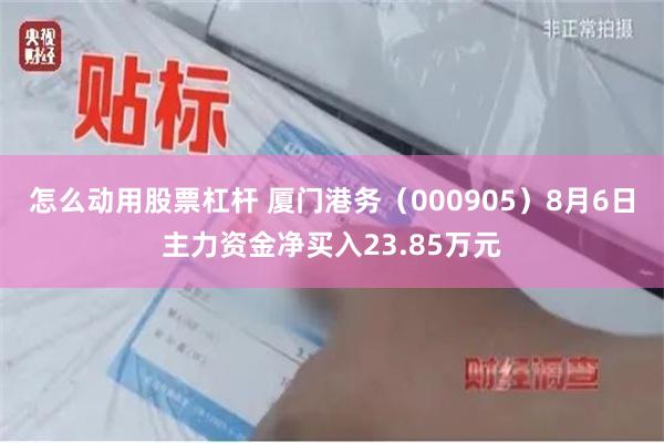 怎么动用股票杠杆 厦门港务（000905）8月6日主力资金净买入23.85万元