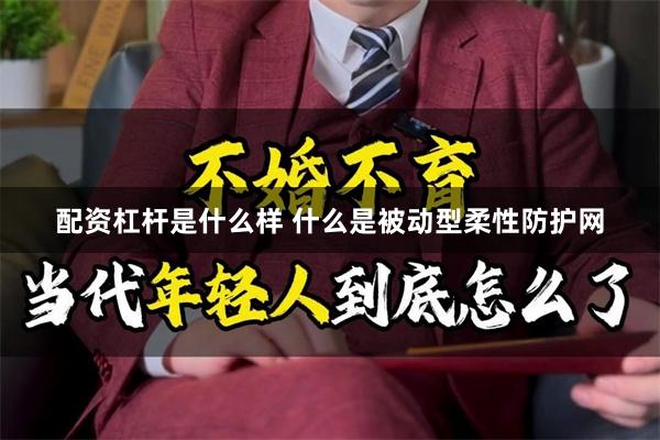 配资杠杆是什么样 什么是被动型柔性防护网