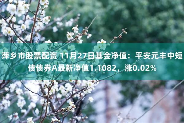 萍乡市股票配资 11月27日基金净值：平安元丰中短债债券A最新净值1.1082，涨0.02%