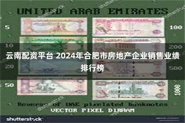 云南配资平台 2024年合肥市房地产企业销售业绩排行榜