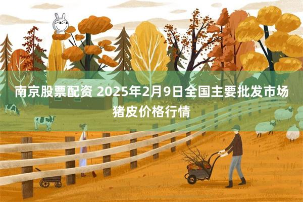 南京股票配资 2025年2月9日全国主要批发市场猪皮价格行情